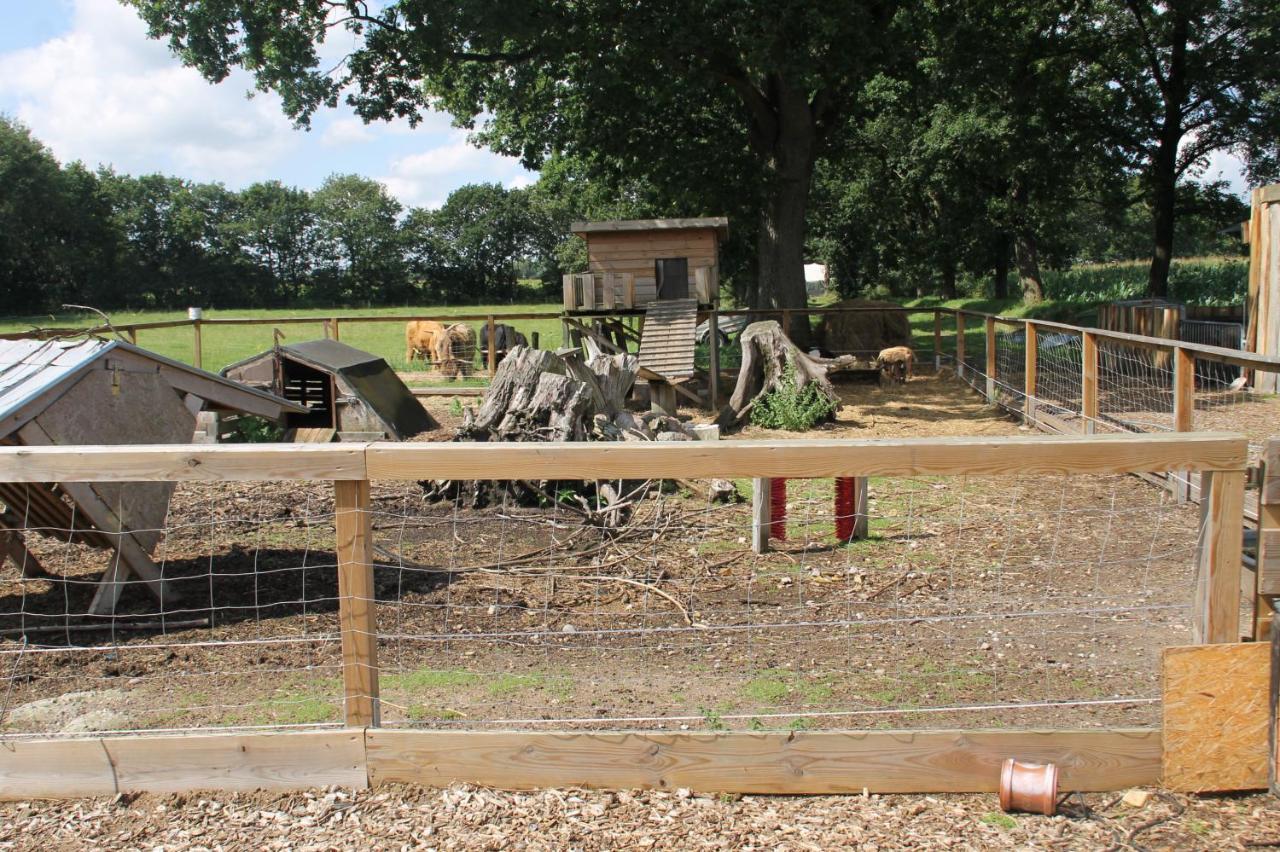 Hof Am Redder Lägenhet Lindewitt Exteriör bild
