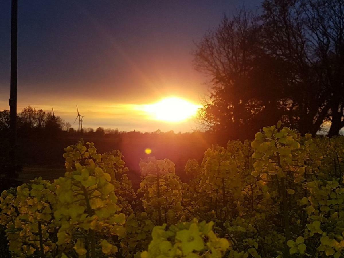 Hof Am Redder Lägenhet Lindewitt Exteriör bild